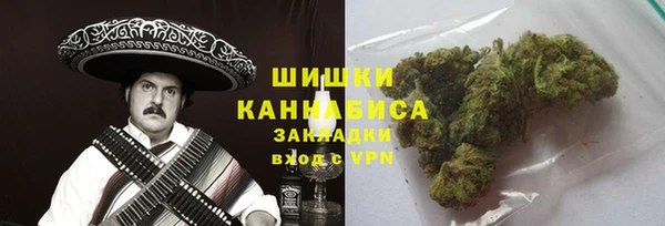 PSILOCYBIN Армянск