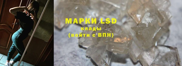 PSILOCYBIN Армянск