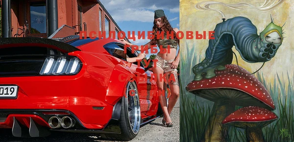 гашиш Аркадак