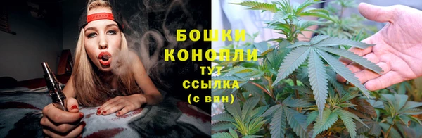 PSILOCYBIN Армянск